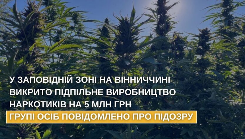 У заповідній зоні на Вінниччині викрито підпільне виробництво наркотиків на 5 млн грн