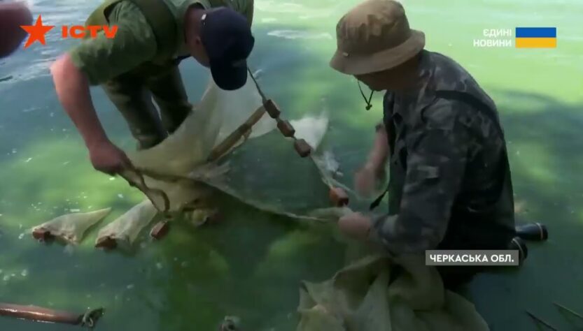 ❗️Черкаські рибоохоронці спільно з науковцями досліджують іхтіофауну Кременчуцького водосховища