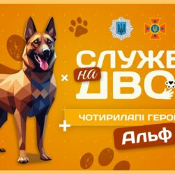 🧨 АЛЬФ — рятувальний пес-піротехнік | Служба на двох