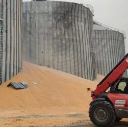 Новини України - Чому в Україні помітно скоротилося агровиробництво