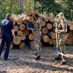 Новини України - ДБР оголосило підозру екскерівнику лісгоспу Харківщини