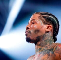 Новини спорту - Джервонта зазнав різкої критики від Стівенсона за бій з Полом