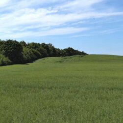 Новини України - Ексглаву Держгеокадастру Хмельниччини підозрюють у махінації на 3,6 млн