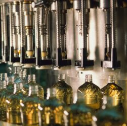 Новини бізнесу - Експорт української соняшникової олії впав до мінімуму за три роки