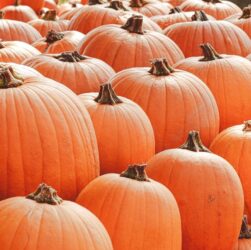 Новини культури - Гороскоп для всіх знаків зодіаку на 11 вересня 2025 року