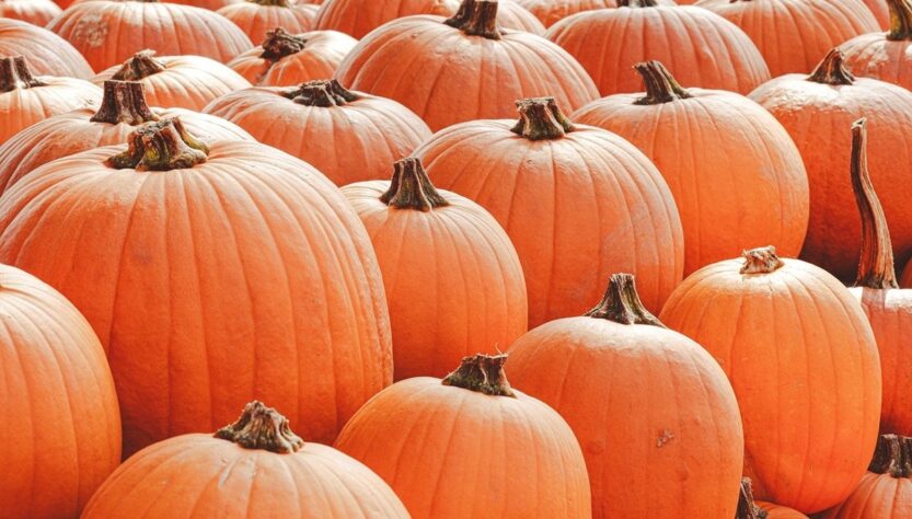 Новини культури - Гороскоп для всіх знаків зодіаку на 11 вересня 2025 року