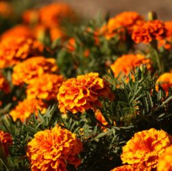 Новини культури - Гороскоп для всіх знаків зодіаку на 12 вересня 2025 року