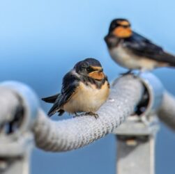 Новини культури - Гороскоп для всіх знаків зодіаку на 16 вересня 2025 року