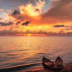 Новини культури - Гороскоп для всіх знаків зодіаку на 17 вересня 2025 року