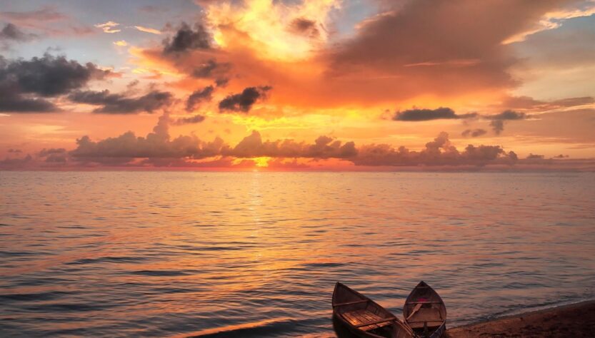 Новини культури - Гороскоп для всіх знаків зодіаку на 17 вересня 2025 року