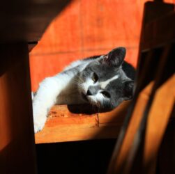 Новини культури - Гороскоп для всіх знаків зодіаку на 18 вересня 2025 року