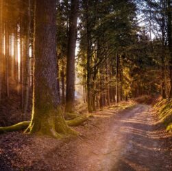 Новини культури - Гороскоп для всіх знаків зодіаку на 19 вересня 2025 року