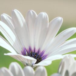 Новини культури - Гороскоп для всіх знаків зодіаку на 20-21 вересня 2025 року