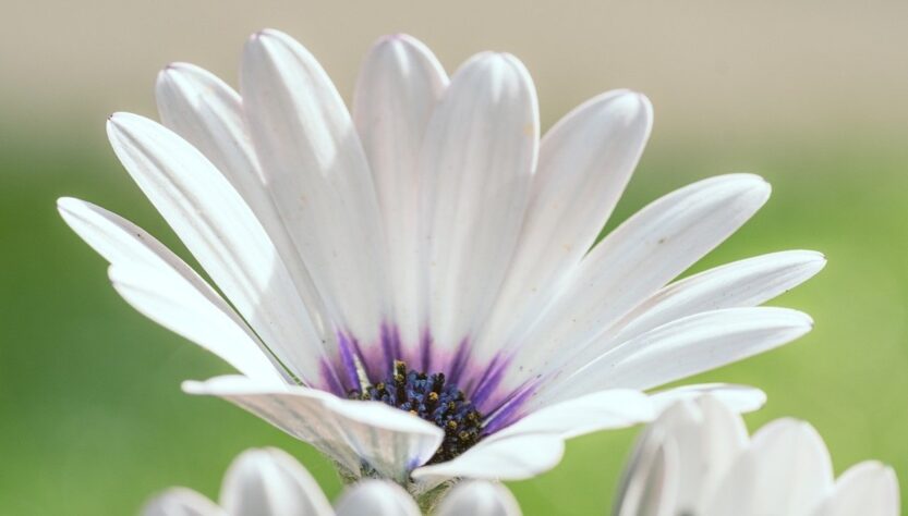 Новини культури - Гороскоп для всіх знаків зодіаку на 20-21 вересня 2025 року