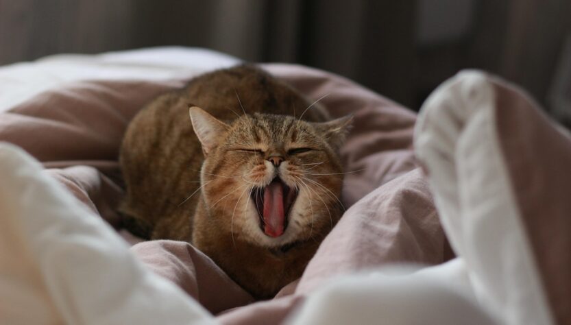 Новини культури - Гороскоп для всіх знаків зодіаку на 23 вересня 2025 року