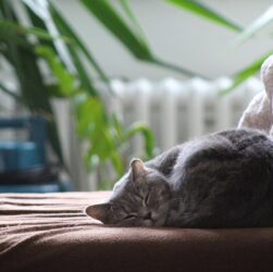 Новини культури - Гороскоп для всіх знаків зодіаку на 26 вересня 2025 року