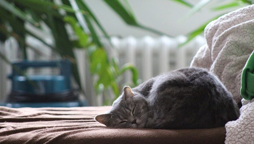 Новини культури - Гороскоп для всіх знаків зодіаку на 26 вересня 2025 року