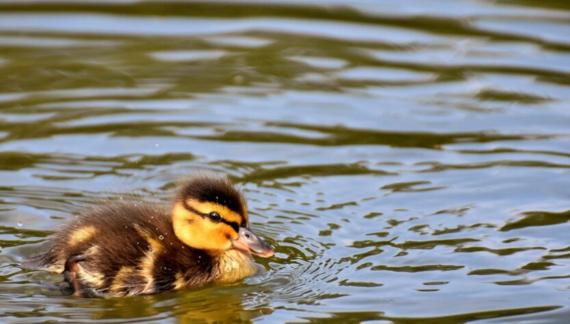 Новини культури - Гороскоп для всіх знаків зодіаку на 3 вересня 2025 року