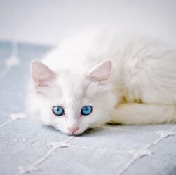 Новини культури - Гороскоп для всіх знаків зодіаку на вихідні 13-14 вересня 2025 року