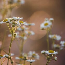 Новини культури - Гороскоп для всіх знаків зодіаку на вихідні 6-7 вересня 2025 року