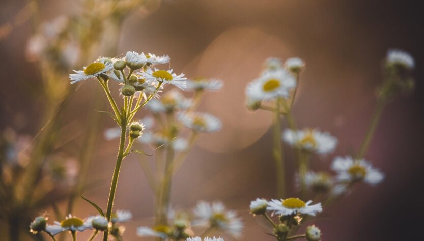 Новини культури - Гороскоп для всіх знаків зодіаку на вихідні 6-7 вересня 2025 року