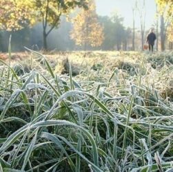 Новини України - На вихідних в Україні холодна погода та заморозки