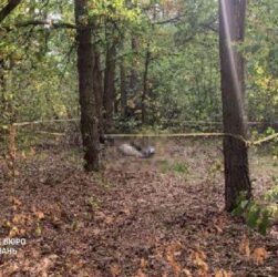 Новини України - На Волині знайшли застреленим прикордонника