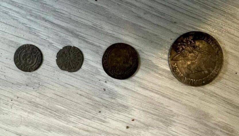 Новини України - На Закарпатті викрито "чорного археолога", що продавав цінну знахідку