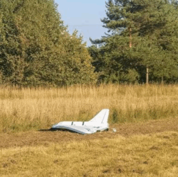 Новини світу - Не 17: у Польщі назвали кількість дронів РФ, що залетіли в країну