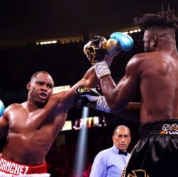 Новини спорту - Почато пошук нового можливого претендента на бій з Усиком по лінії IBF