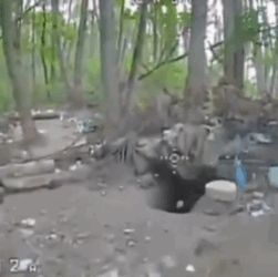 Новини України - Прикордонники показали знищення росіян на Курському напрямку