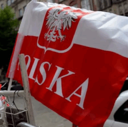 Новини України - Про що мовчить Навроцький: ЄС, НАТО, “Волинь” і “800+”