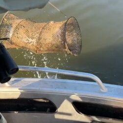 ❗️Рибоохоронний рейд на Південному Бузі