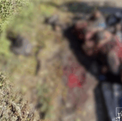 Новини України - Росіяни вдарили дроном по велосипедисту в Козачій Лопані