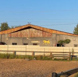 Новини України - Росіяни вдарили по кінному клубу на Київщині