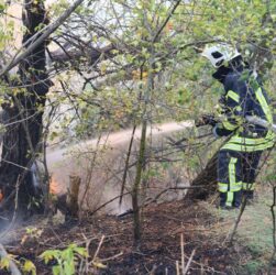 Новини України - Рятувальники другу добу гасять пожежу на Хортиці
