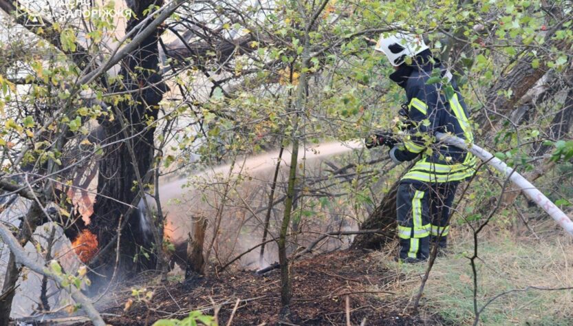 Новини України - Рятувальники другу добу гасять пожежу на Хортиці