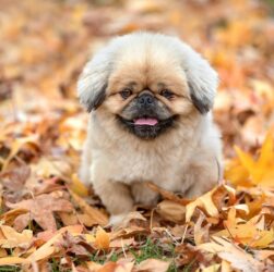 Новини України - Синоптики розповіли, якою буде погода в Україні 29 вересня