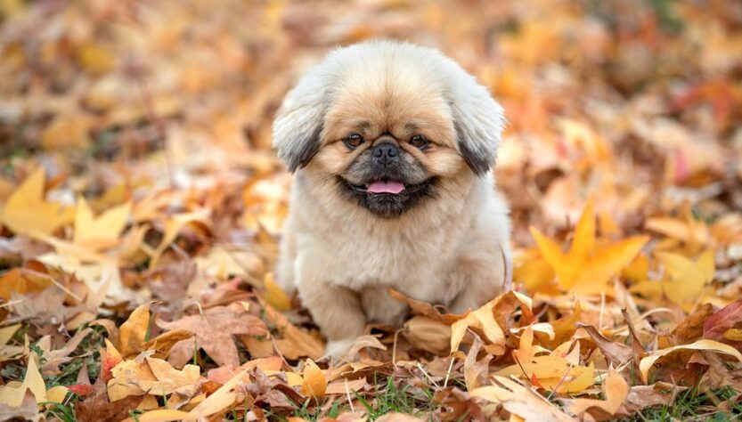 Новини України - Синоптики розповіли, якою буде погода в Україні 29 вересня