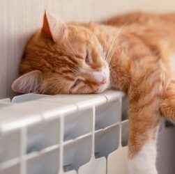 Новини України - Стало відомо, коли включать опалення в Україні