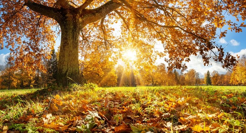 Новини України - Тепло і сонячно: якою буде погода у перші вихідні осені