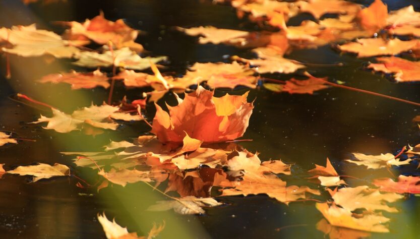 Новини України - Тепло, подекуди дощитиме: прогноз погоди на початок тижня