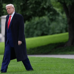 Новини світу - Трамп відреагував на вбивство 23-річної української біженки у США