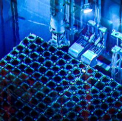 Новини світу - Туреччина планує створити власний ядерний реактор