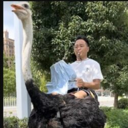 Новини світу - У Китаї чоловік понад 10 років їздить на страусі замість авто