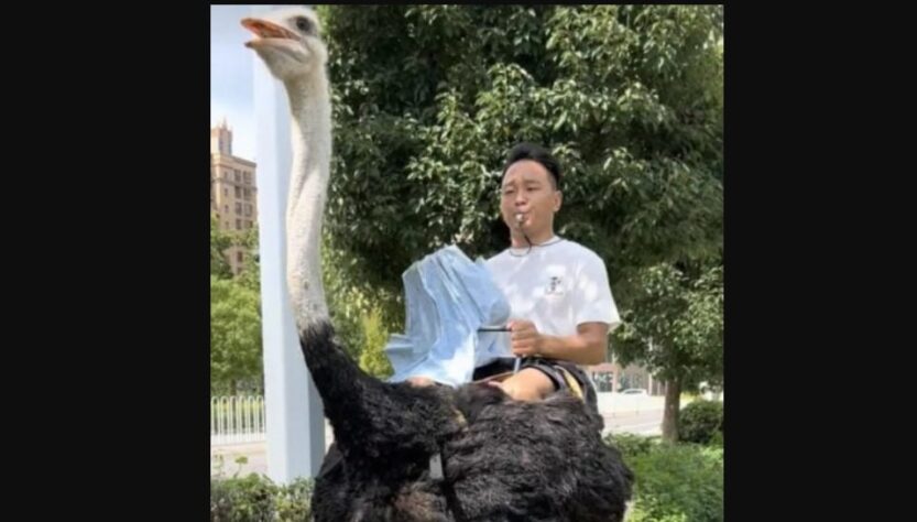 Новини світу - У Китаї чоловік понад 10 років їздить на страусі замість авто