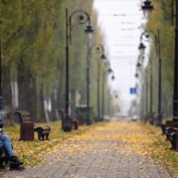 Новини Києва - У Києві почалась метеорологічна осінь