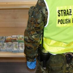 Новини світу - Українка намагалася провезти у Польщу купу валюти у валізі