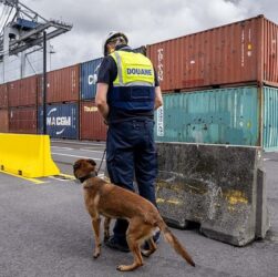 Новини світу - В порту Антверпена бельгійська поліція вилучила 1,2 тонни кокаїну