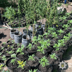 Новини України - В Україні провели другий етап спецоперації Джентельмени